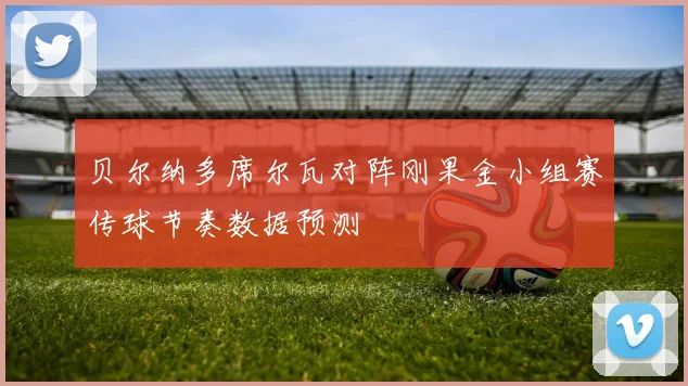 贝尔纳多席尔瓦对阵刚果金小组赛传球节奏数据预测