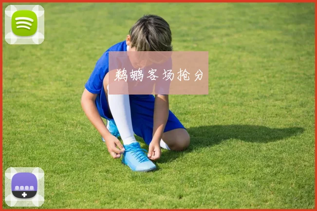 鹈鹕客场抢分