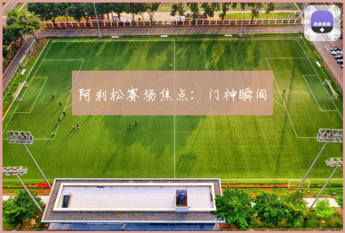 阿利松赛场焦点：门神瞬间