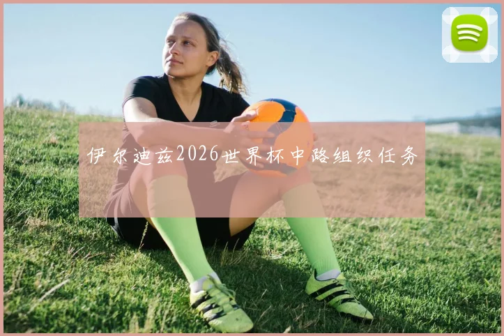 伊尔迪兹2026世界杯中路组织任务