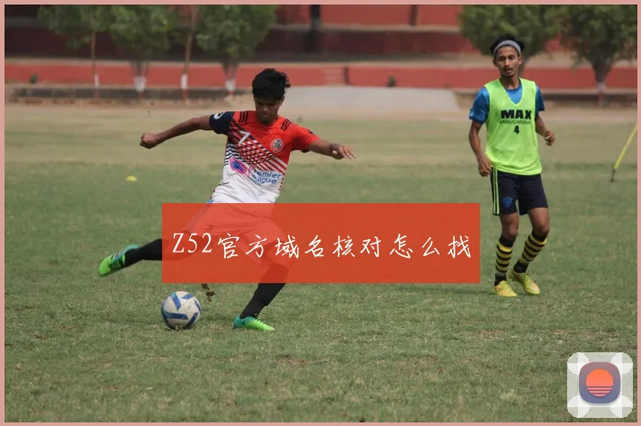 Z52官方域名核对怎么找