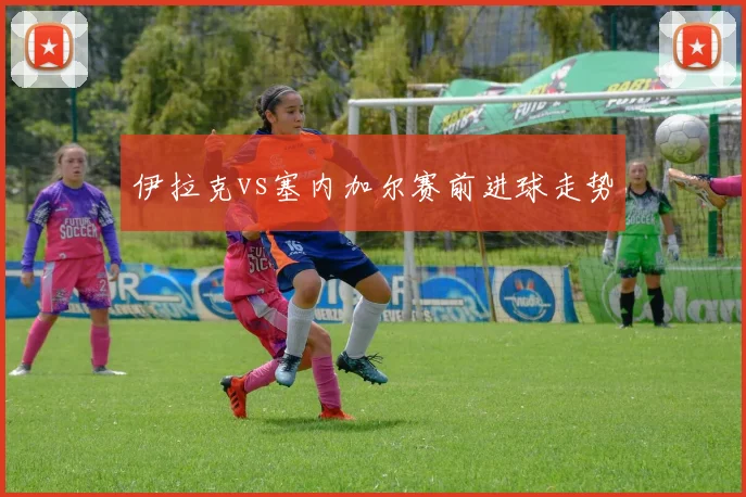 伊拉克vs塞内加尔赛前进球走势