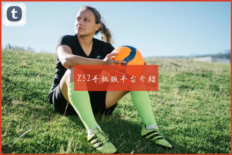 Z52手机版平台介绍