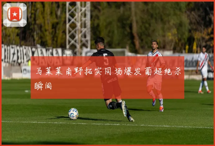 马莱莱南野拓实同场爆发葡超绝杀瞬间